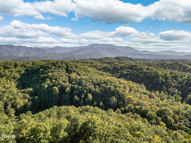 view of mountain feature