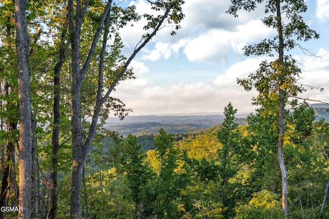 property view of mountains