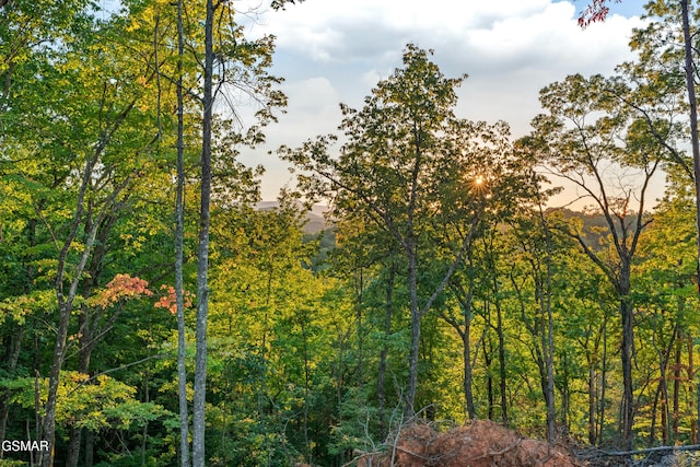 view of nature at dusk