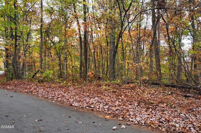 Listing photo 3 for LOT7 Walker Rd, Sharps Chapel TN 37866