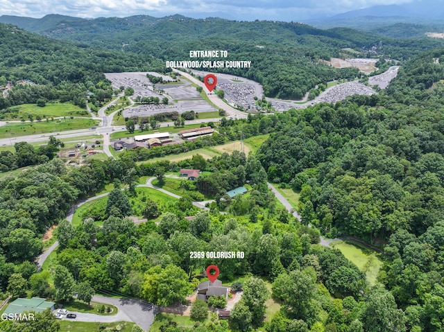 2369 Goldrush Rd, Pigeon Forge, TN 37863 - photo 54