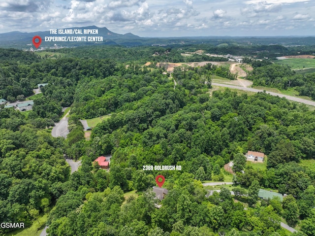 2369 Goldrush Rd, Pigeon Forge, TN 37863 - photo 57