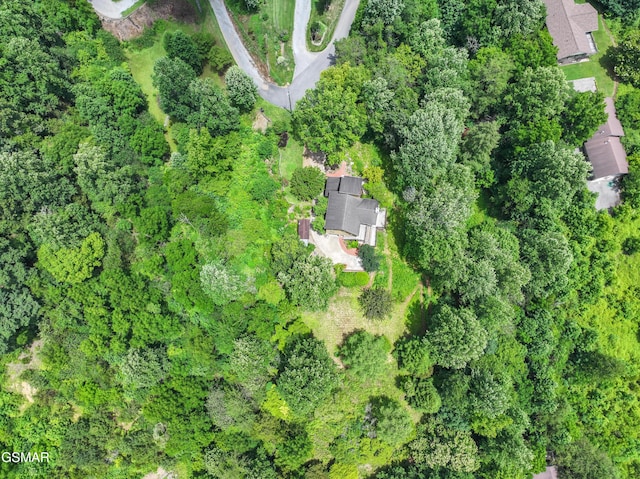 2369 Goldrush Rd, Pigeon Forge, TN 37863 - photo 53