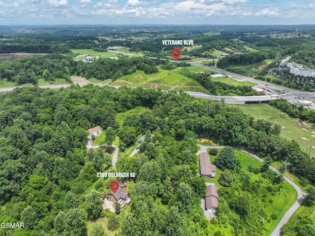 2369 Goldrush Rd, Pigeon Forge, TN 37863 - photo 56