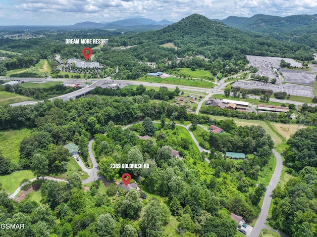 2369 Goldrush Rd, Pigeon Forge, TN 37863 - photo 55