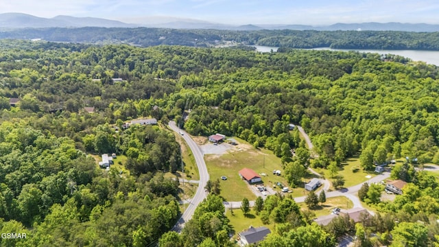 994 Smokey Mountain Queen Rd, Sevierville, TN 37876
