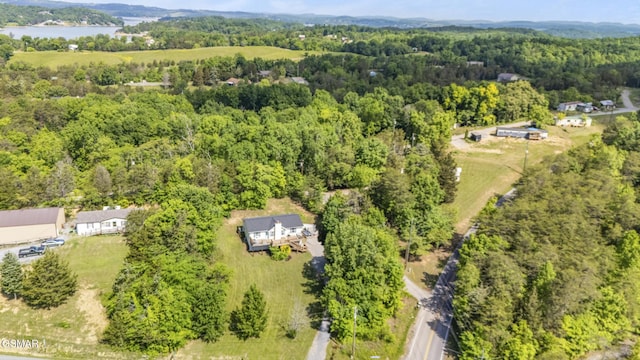 994 Smokey Mountain Queen Rd, Sevierville, TN 37876