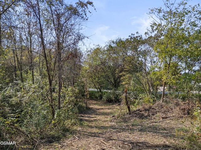 Listing photo 2 for LOT2R-1 Green Hill Rd, Dandridge TN 37725