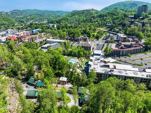 817 Eagle Cove Way, Gatlinburg, TN 37738 - aerial view of property's location with mountains