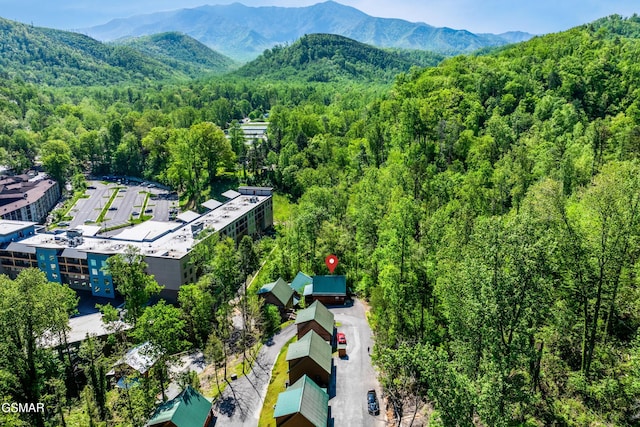 817 Eagle Cove Way, Gatlinburg, TN 37738 - bird's eye view of a forest and a mountainous background