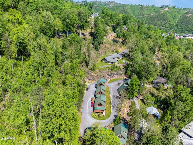 817 Eagle Cove Way, Gatlinburg, TN 37738 - bird's eye view of a forest