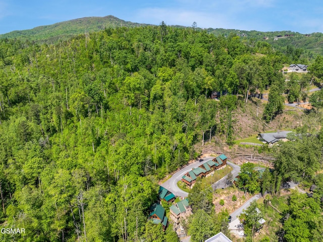 817 Eagle Cove Way, Gatlinburg, TN 37738 - bird's eye view of a forest