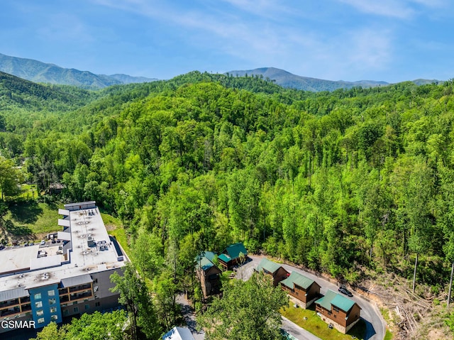 817 Eagle Cove Way, Gatlinburg, TN 37738 - bird's eye view of a forest and mountains