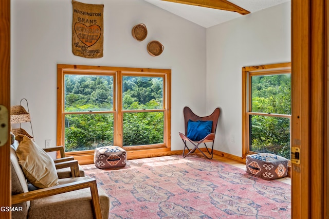 living area with lofted ceiling