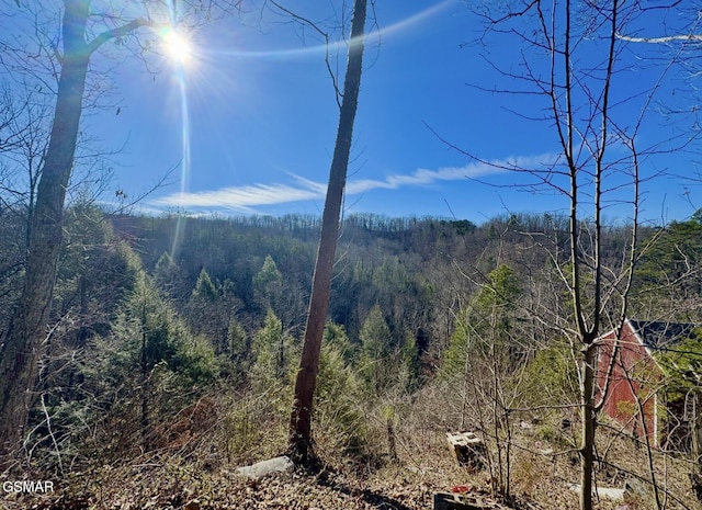 view of mountain feature with a forest view