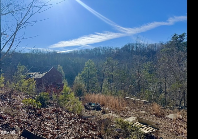 mountain view with a forest view