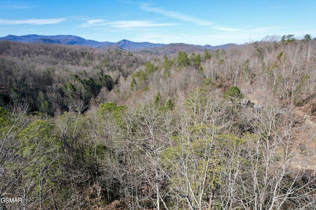 property view of mountains featuring a forest view