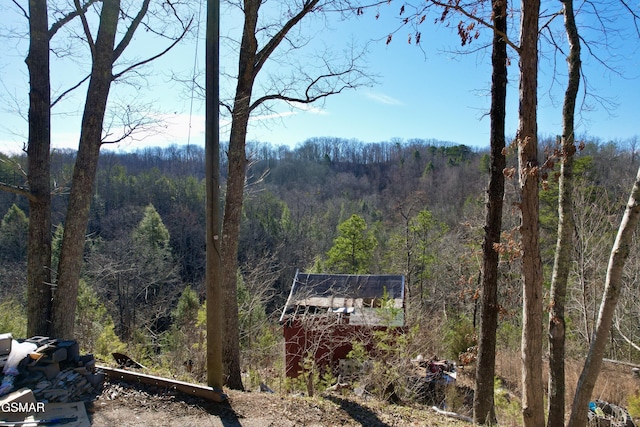 mountain view featuring a forest view