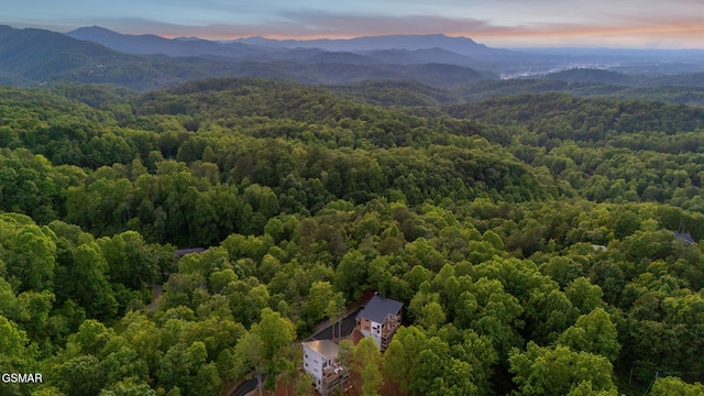 1924 Pine Ct, Sevierville, TN 37876 - aerial view at dusk of a view of trees and a mountain view
