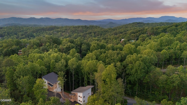 1924 Pine Ct, Sevierville, TN 37876 - view from above of property featuring a heavily wooded area and a mountain backdrop