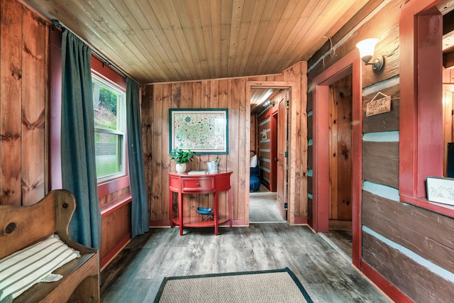 miscellaneous room featuring dark hardwood / wood-style flooring, wooden ceiling, and wooden walls