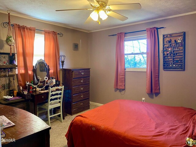 771 Commanche Dr, Newport, TN 37821 - photo 14