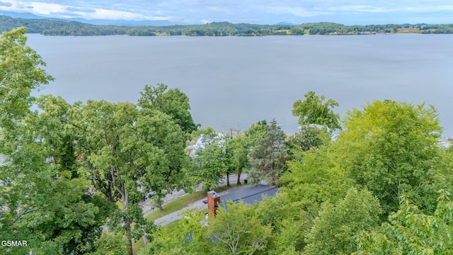 1920 Inskip Ln, Dandridge, TN 37725 - water view
