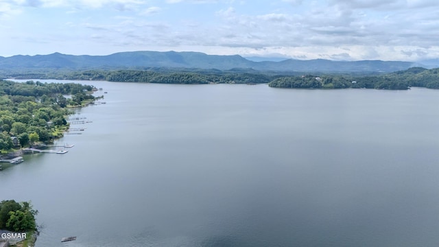 1920 Inskip Ln, Dandridge, TN 37725 - water view with a mountainous background