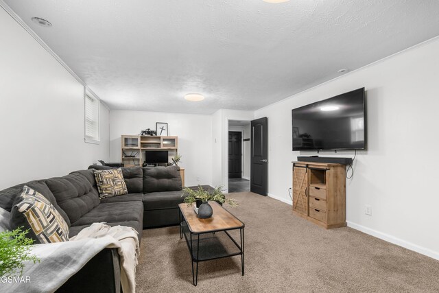 carpeted living room with a textured ceiling