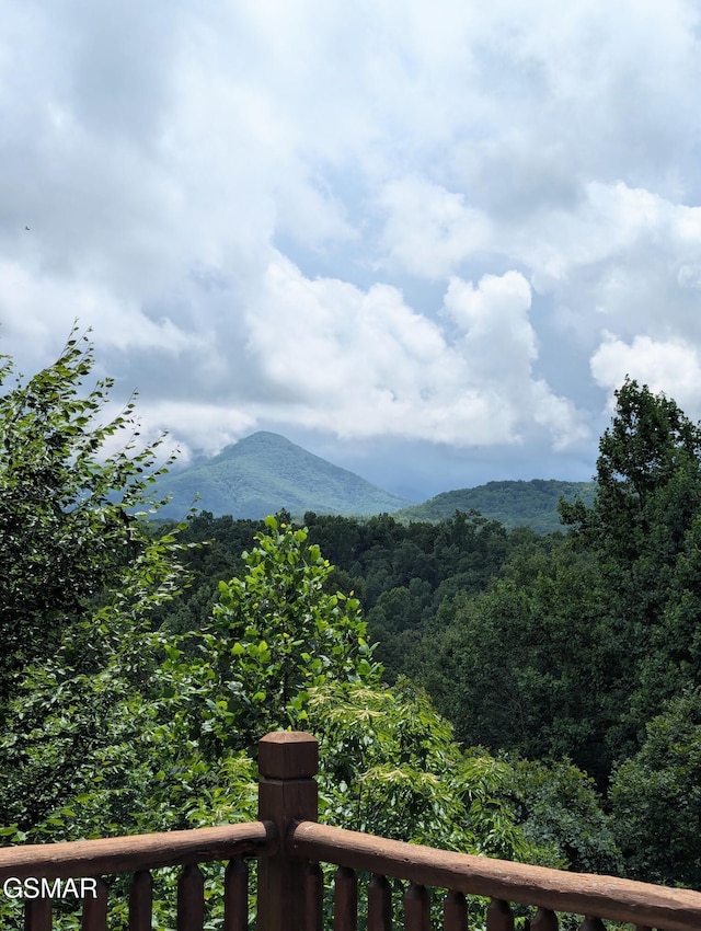 410 Maples Rd, Gatlinburg, TN 37738 - photo 26