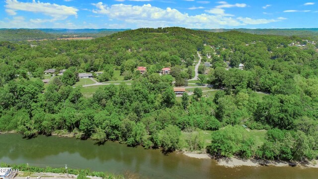 294 Clifton Heights Rd, Newport, TN 37821 - drone / aerial view with a water view and a view of trees