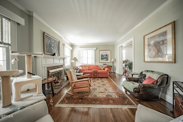 294 Clifton Heights Rd, Newport, TN 37821 - living room featuring crown molding, wood finished floors, and a fireplace