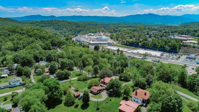 294 Clifton Heights Rd, Newport, TN 37821 - drone / aerial view with a view of trees and a mountain view