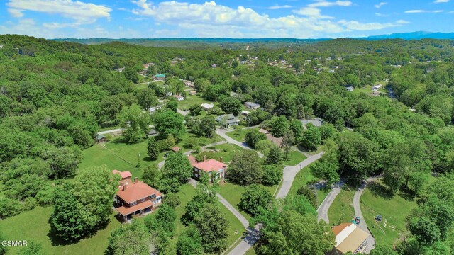 294 Clifton Heights Rd, Newport, TN 37821 - bird's eye view with a wooded view
