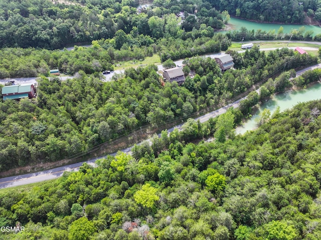 LOT7 Parrotts Chapel Rd, Sevierville, TN 37876 - photo 4