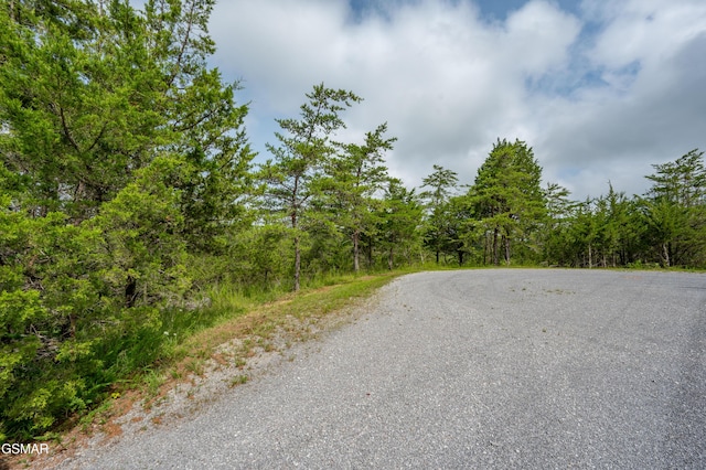 LOT7 Parrotts Chapel Rd, Sevierville, TN 37876 - photo 28