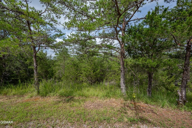 LOT7 Parrotts Chapel Rd, Sevierville, TN 37876 - photo 26