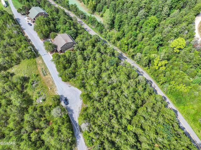 LOT7 Parrotts Chapel Rd, Sevierville, TN 37876 - photo 6