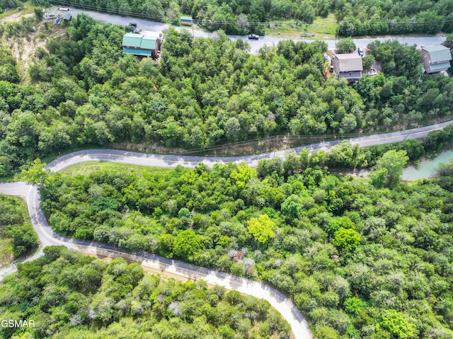 LOT7 Parrotts Chapel Rd, Sevierville, TN 37876 - photo 16