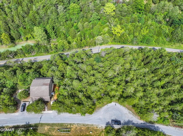LOT7 Parrotts Chapel Rd, Sevierville, TN 37876 - photo 5
