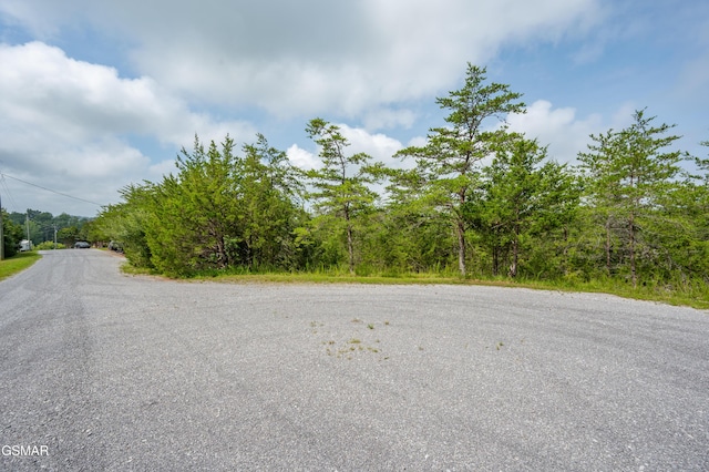 LOT7 Parrotts Chapel Rd, Sevierville, TN 37876 - photo 22
