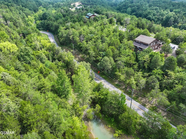 LOT7 Parrotts Chapel Rd, Sevierville, TN 37876 - photo 12