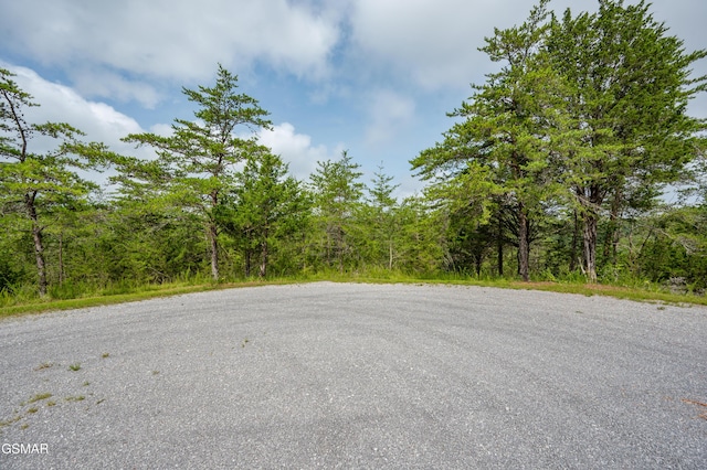 LOT7 Parrotts Chapel Rd, Sevierville, TN 37876 - photo 21