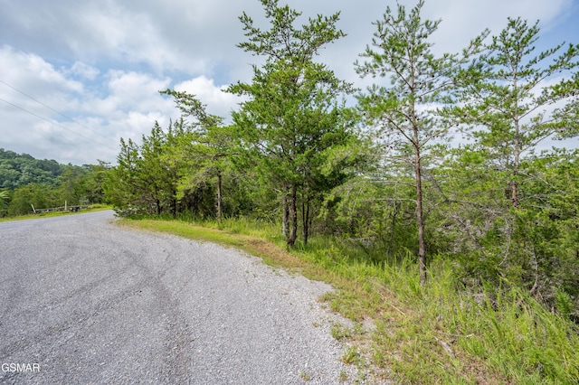 LOT7 Parrotts Chapel Rd, Sevierville, TN 37876 - photo 25