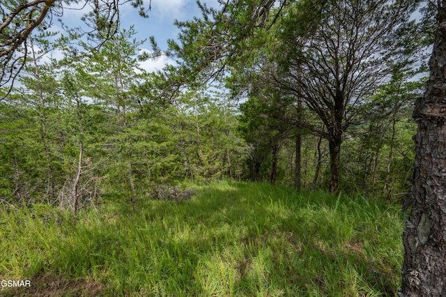 LOT7 Parrotts Chapel Rd, Sevierville, TN 37876 - photo 24