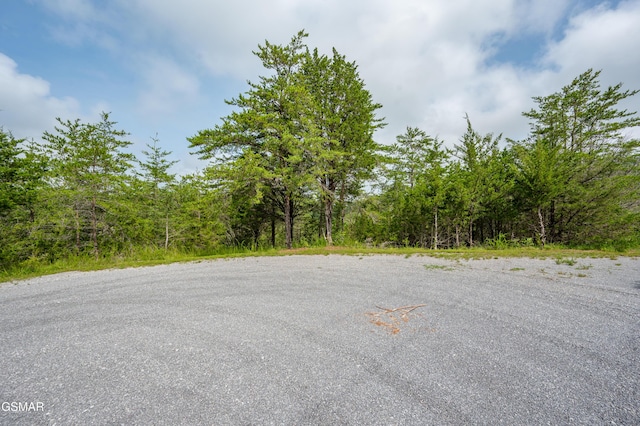 LOT7 Parrotts Chapel Rd, Sevierville, TN 37876 - photo 20