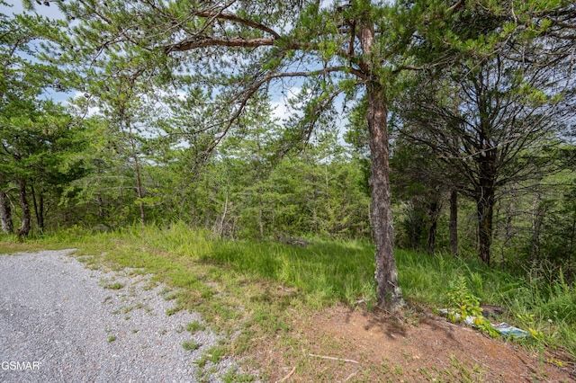 LOT7 Parrotts Chapel Rd, Sevierville, TN 37876 - photo 23