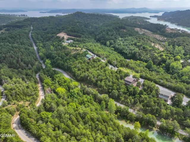 LOT7 Parrotts Chapel Rd, Sevierville, TN 37876 - photo 8