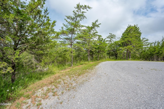 LOT7 Parrotts Chapel Rd, Sevierville, TN 37876 - photo 27