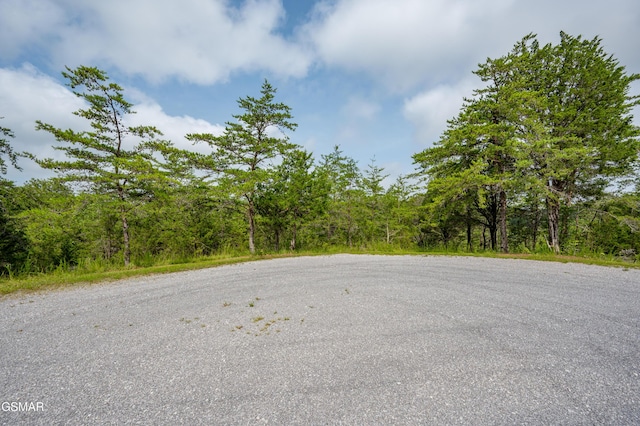 LOT7 Parrotts Chapel Rd, Sevierville, TN 37876 - photo 29